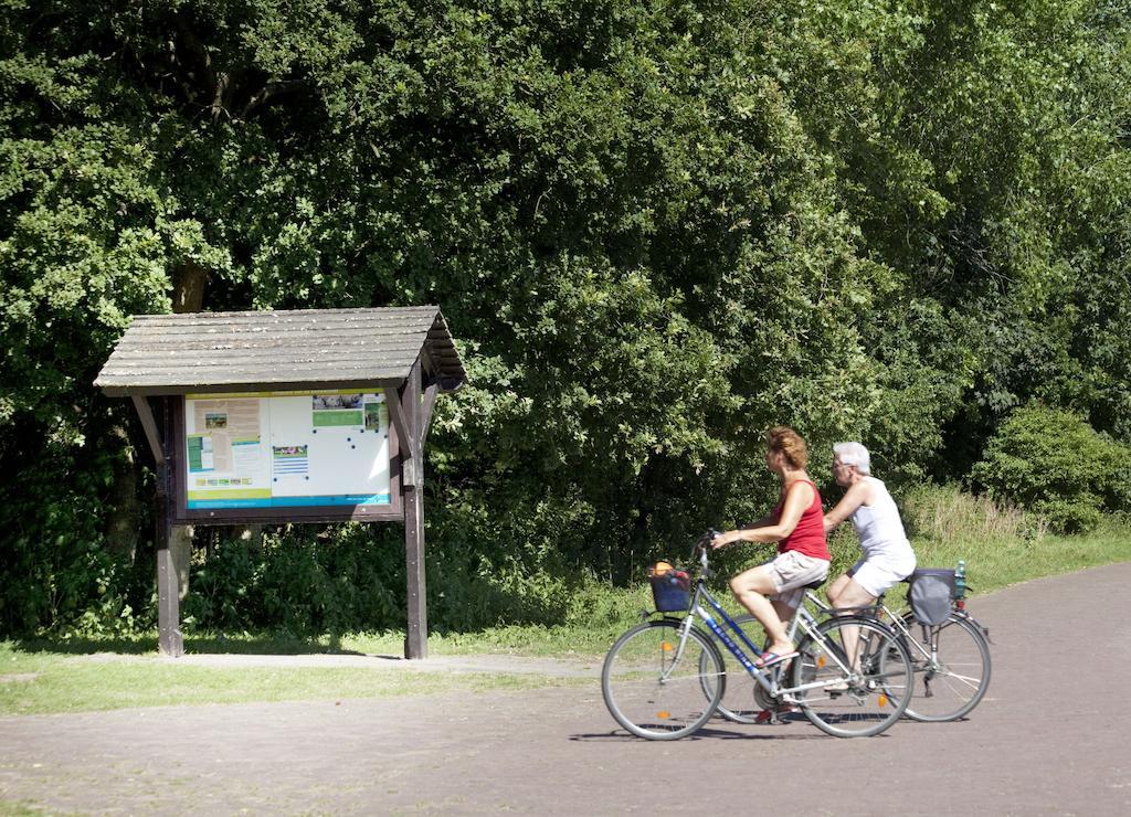 إيجموند-بينن Bungalows - Bungalowpark Mooyeveld - Uniek Gelegen In De Duinen! المظهر الخارجي الصورة