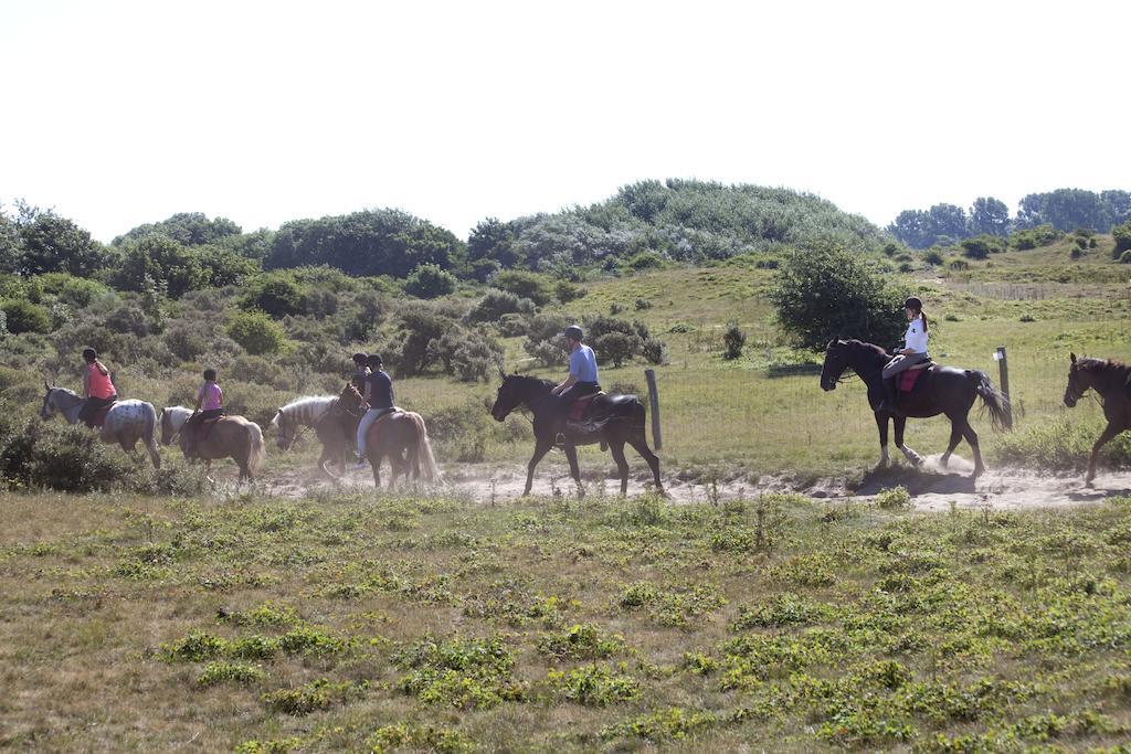 إيجموند-بينن Bungalows - Bungalowpark Mooyeveld - Uniek Gelegen In De Duinen! المظهر الخارجي الصورة